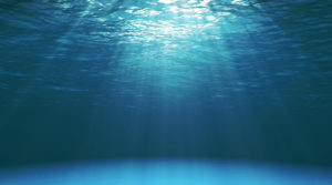 CSCI Marine Case Study large featured image of the ocean