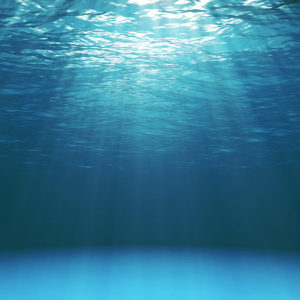 CSCI Marine Case Study featured image of the ocean